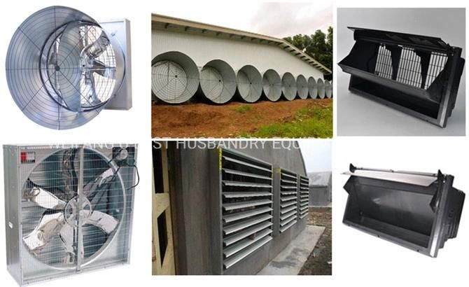 Broiler Chicken Equipment for a Prefabricated Poultry House
