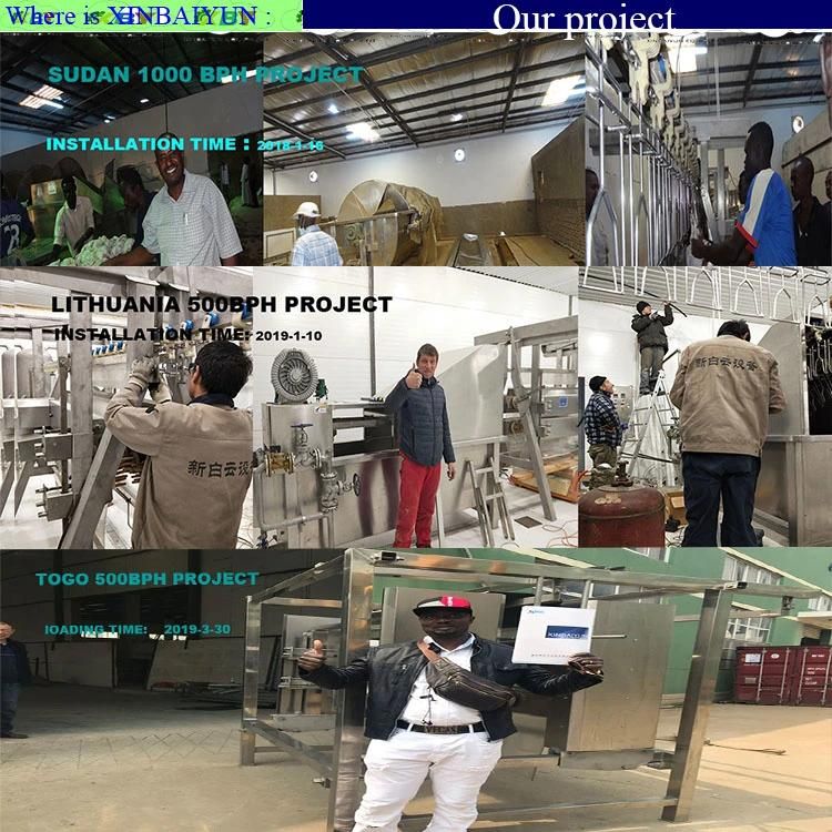 Used to Small Scale Chicken Slaughtering Line Scalding Plucker Quail Poultry Processing Plant Machinery Price