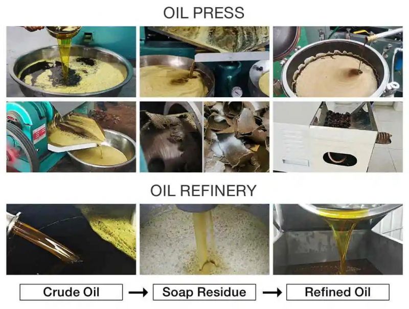 8tpd Screw Press Sunflower Seeds Cooking Oil Making Machine Peanut Oil Extracting Machine