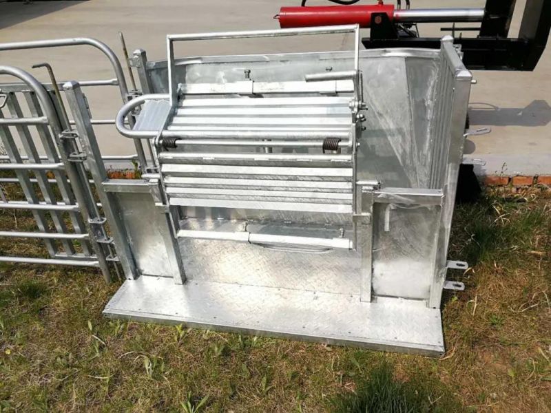 Livestock Equipment Animal Handling Equipment Galvanized Sheep Goat Turnover Crate