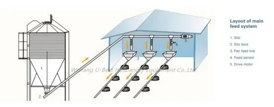 High Quality Farming Automatic Broiler Feeding Pan System