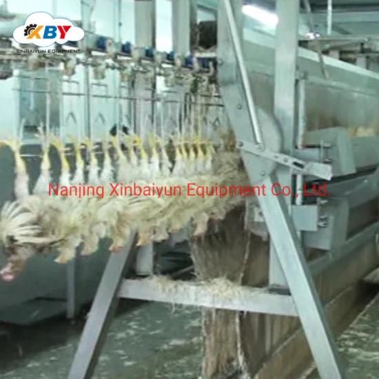 Poultry Slaughter Equipment/Chicken Meat Processing Machinery /Chicken Meat Cutting ...