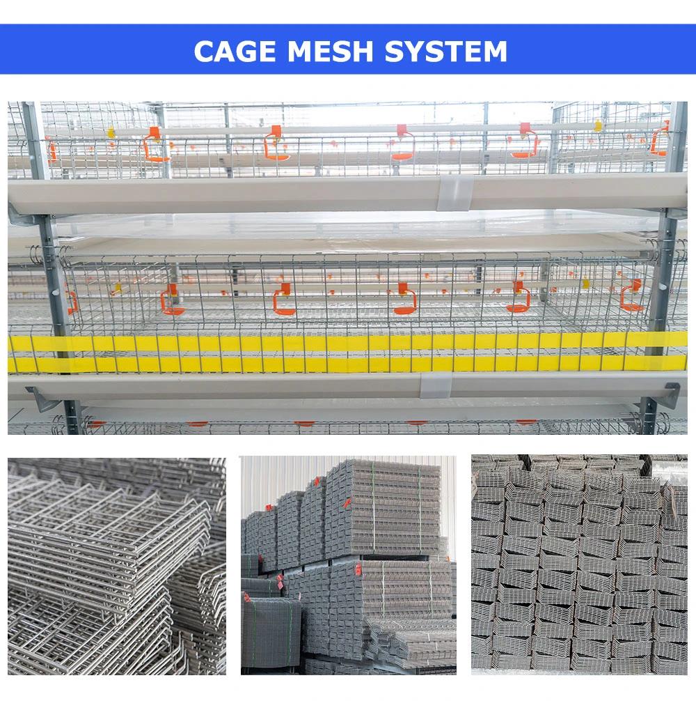 Chicken Breeding Poultry Farm Equipment a Type Brooder Cages Automatic Battery Layer Cage