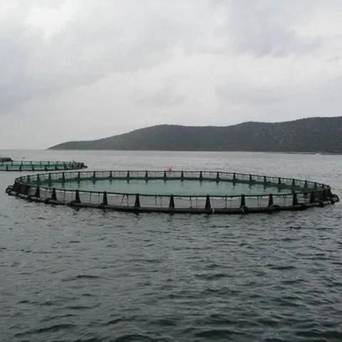 High Quality Deep Sea Farming Fish Net Floating Cage Open Sea Cage Farming