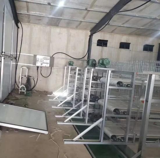 Pullet Cage for Broiler/Chicken Layer/Egg Chicken