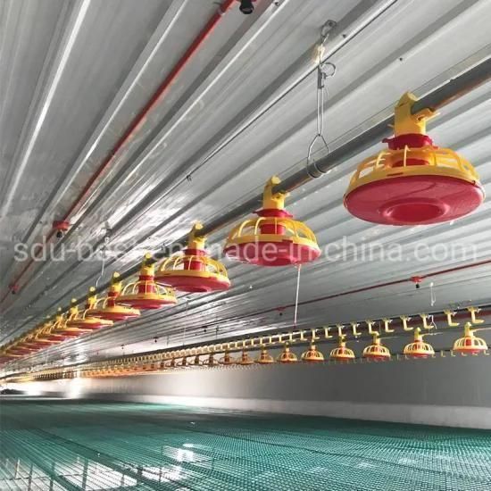 Automatic Poultry House Equipment Chicken Plasson Type Feeders and Drinkers