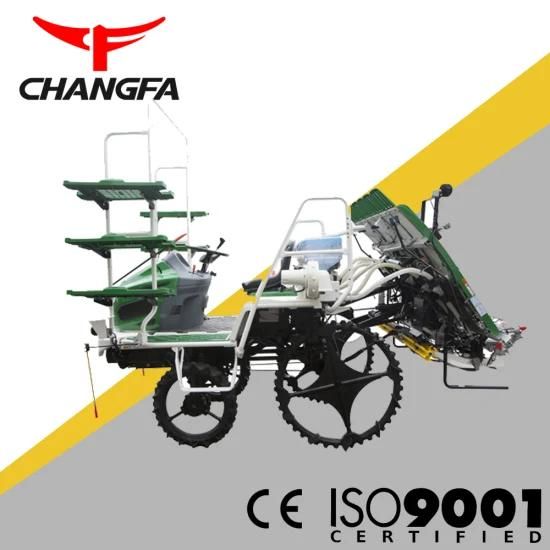 Changfa 2zg-6y High Speed Ride Paddy Transplanter