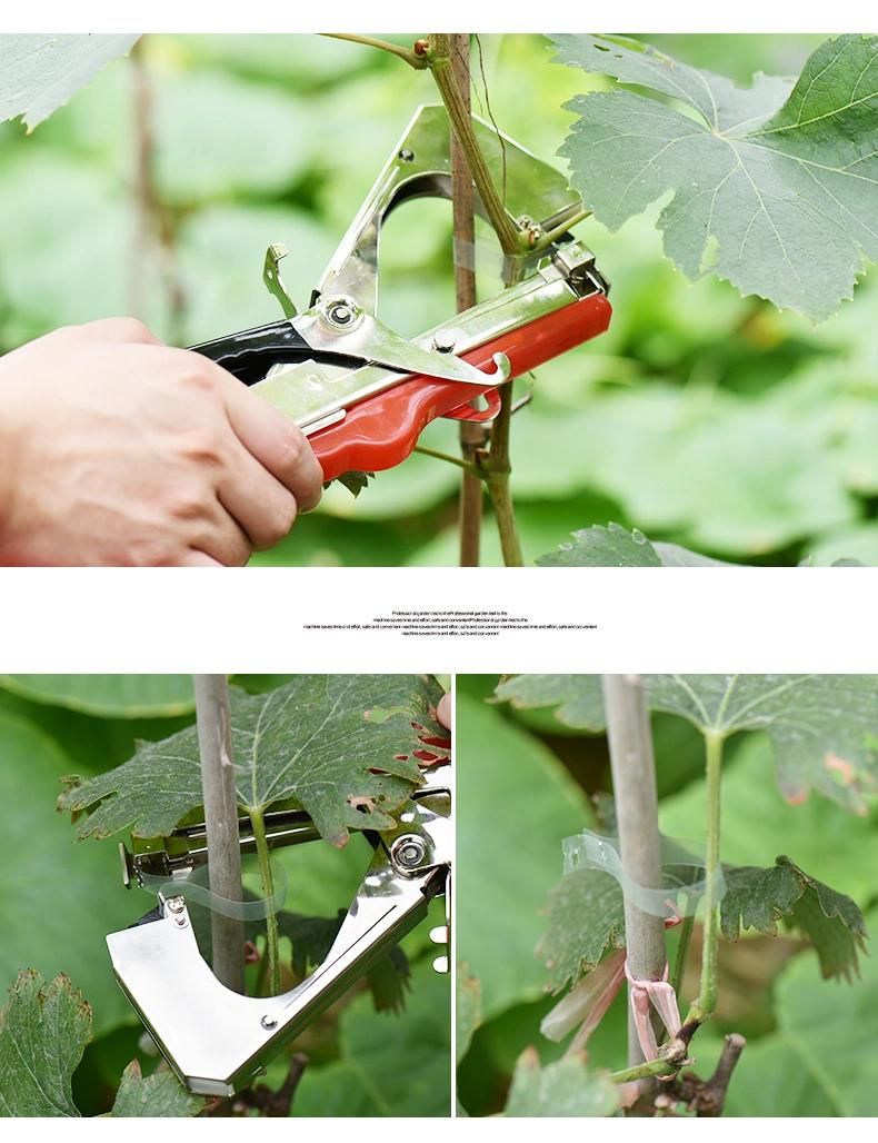 Professional Agriculture Garden Bind Branch Machine/Vine Banding Machine/Tapetool