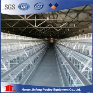 Automatic Battery Egg Hens Poultry Equipment a Type Chicken Layer Cage