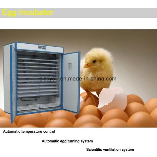 Multi-Purpose Incubation Poultry Chicken Quail Egg Incubator Hatcher Incubator