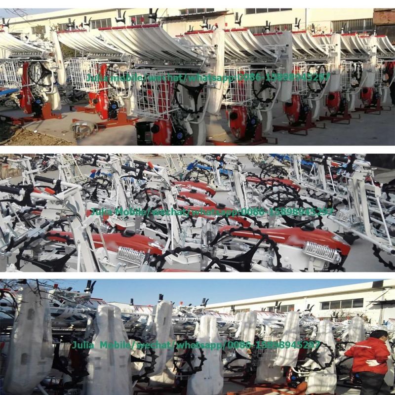 Made in China Agricultural Machinery Factory Supply 4 Rows Walking Rice Planting Machine