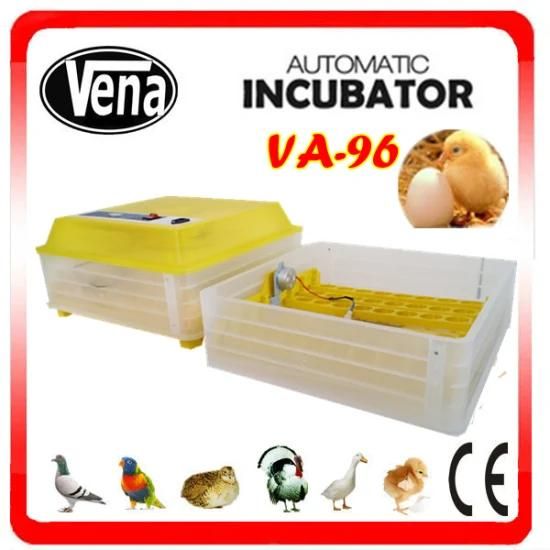 Quail Egg Incubator+High Quality Egg Incubator