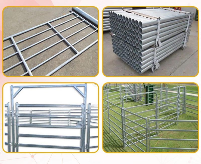 Heavy-Duty Galvanized Pipe Sheep Fence Board Sheep Fencing for Farms