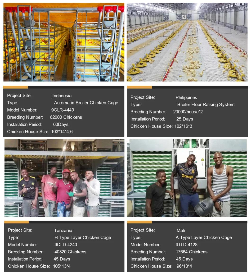 Broiler cage poultry farm equipment layer cage
