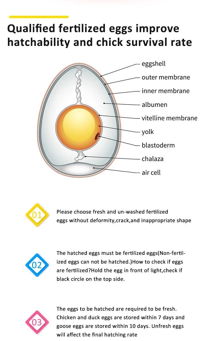 Hhd Professional Family Use Humidity Control Egg Incubator H-840