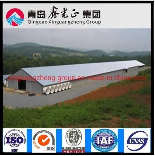 Bch001-Steel Structure Poultry House Integrated Auto- Breeding Equipment Farm, Saving Two ...