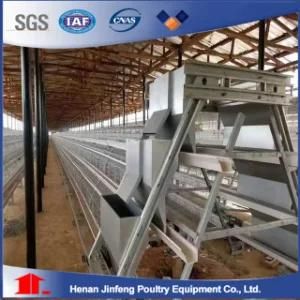 Full Automatic Wholesale Prices a Type Pullet Chicken Cage Poultry Farm Equipment