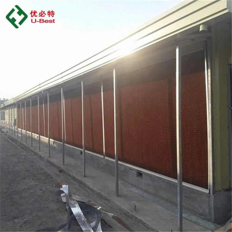Layer Farming Equipment H Type Fully Automatic Battery Chicken Poultry Cage