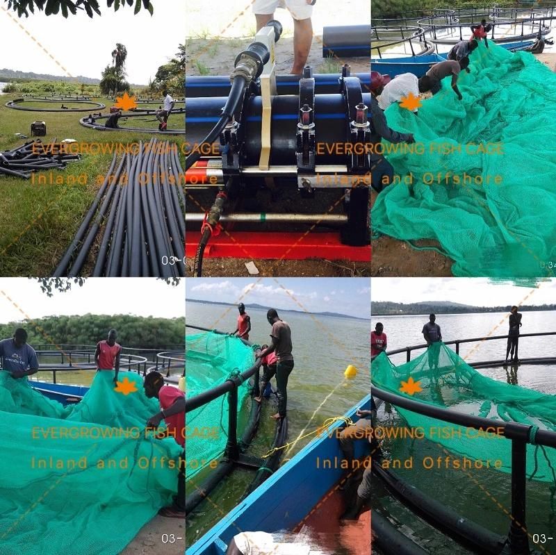 HDPE Tilapia Farming Grow out Fish Net Cage
