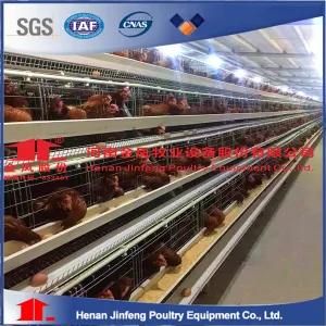 Poultry Equipment Chicken Cage for Layer Broiler Pullet