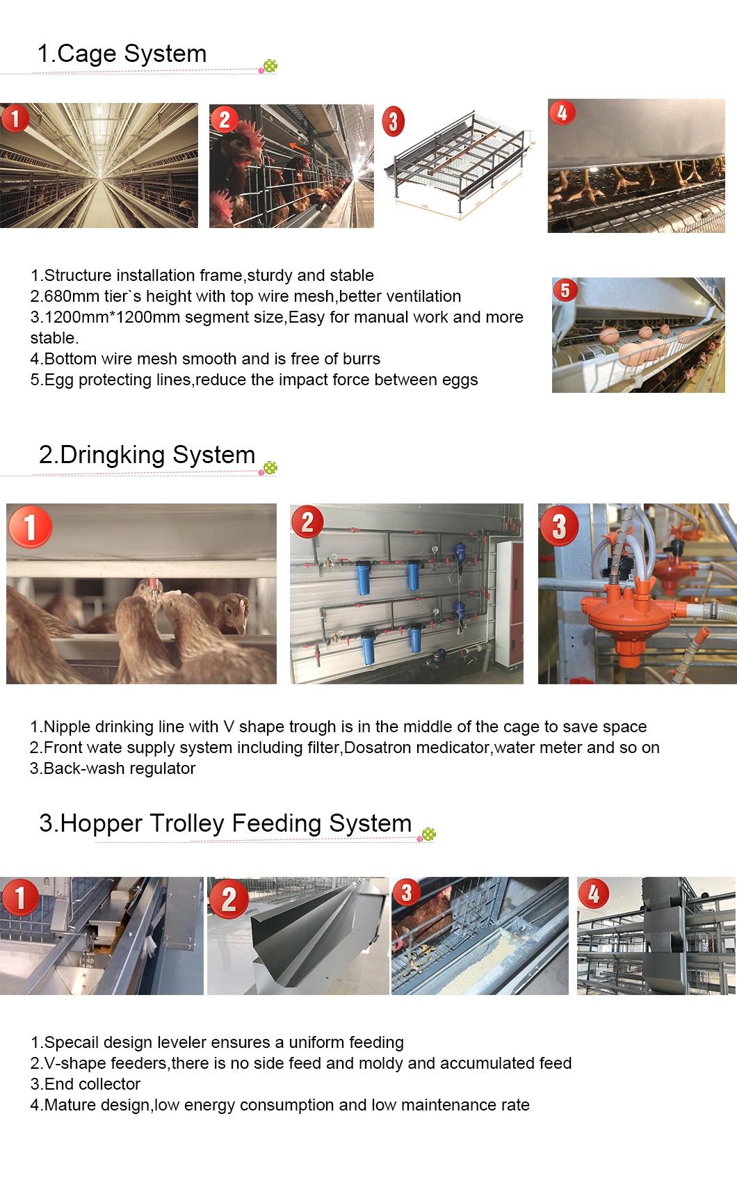 Longfeng Automatic Poultry Farming Equipment Modernized Cage Layer Chicken Cage