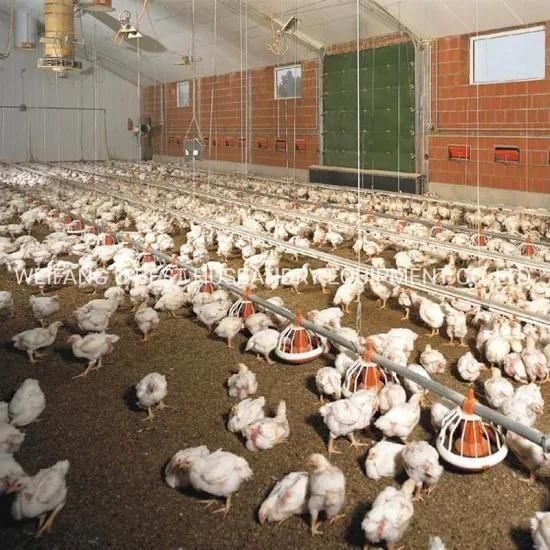 Farming Machine Broiler Chicken Raising Equipment for Poultry Farm