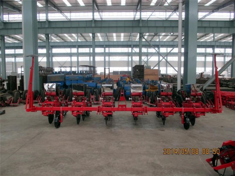 Hot Sale of 6 Lines Double-Disc Chain Transmission Type Precision Seeder, Corn /Maize Precise Seeder, Groundnut Seeder with Disc Marker, Farm Machine