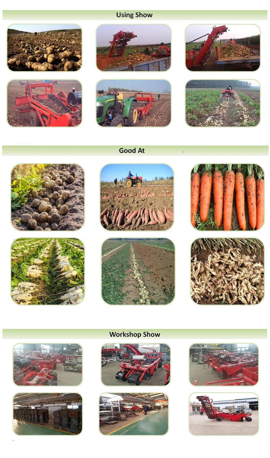 Traction Type Potato Harvester /Potato Harvesting Machine (factory selling customization)