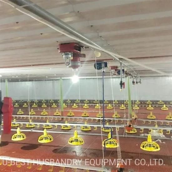 Automatic Feed Pan System Poultry Farm Equipment