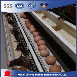Fully Automatic Solar Power 1000 Eggs Chicken Egg Collection