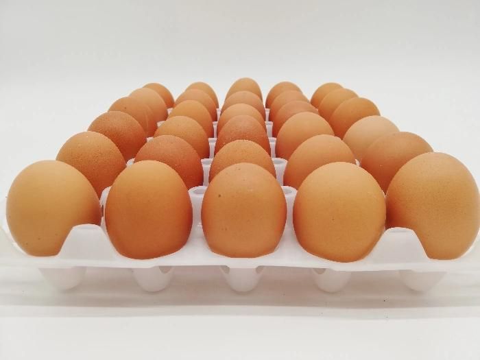 30 Hole Plastic Egg Tray