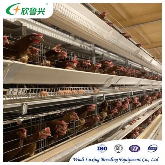 4 Tiers 128birds Capacity Design Layer Chicken Poultry Cage Battery Cages Price
