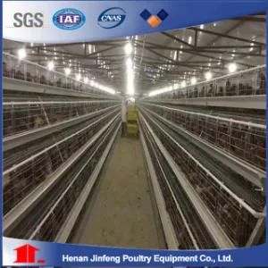 Chile Hot Sale Factory a Frame Chicken Layer Cage with Poultry Feeding Equipment
