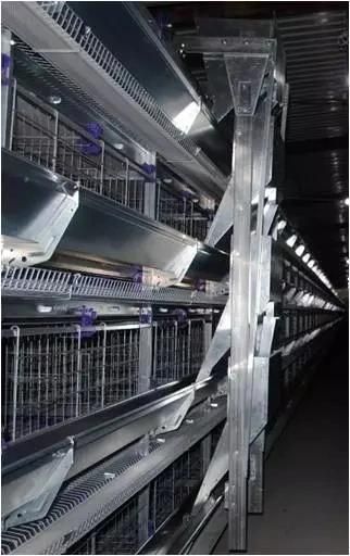 Xgz Best Designed and Durable Automatic H-Type Chicken Cage for Layer