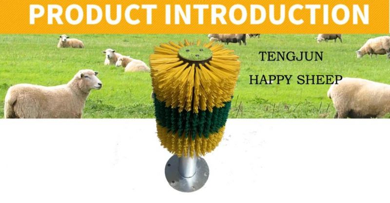 Durable Animal Welfare Sheep Brushes for Self Scratching