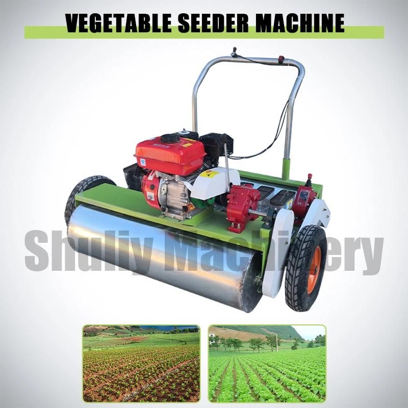 Hand Push Gasoline Vegetable Seed Planter Carrot Seed Planter