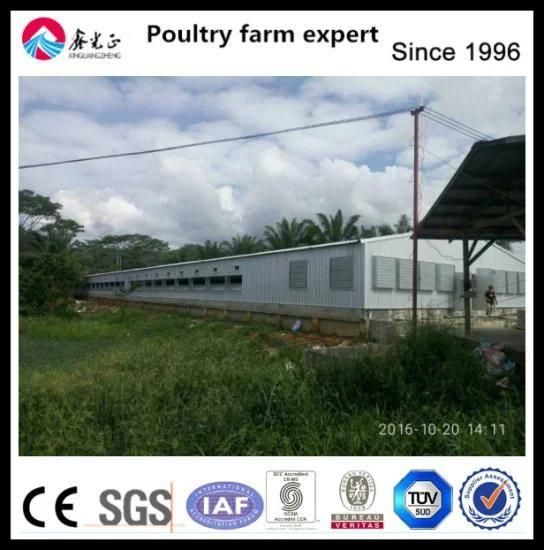 Steel Structure Layer House for Chicken Farm with Equipments