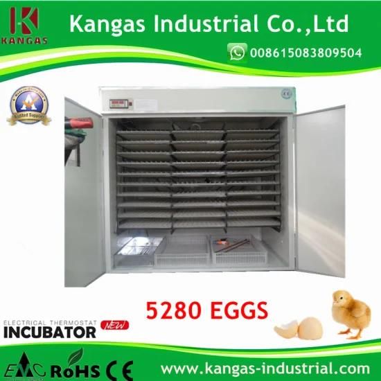 Holding 5000 Eggs Hot Sale Full Automatic Quail Chicken Incubator (KP-25)