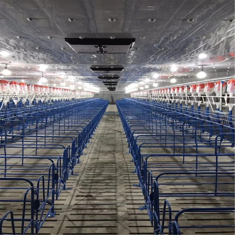 Xgz Group′s Automated Pig Raising Equipment