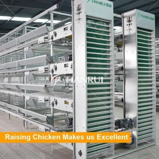 2020 Automatic layer chicken cages for Africa