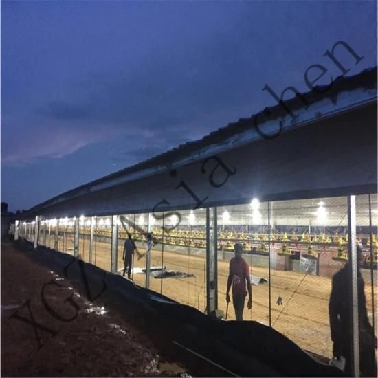 Open Steel Structure Galvanized with Protective Curtain Chicken House