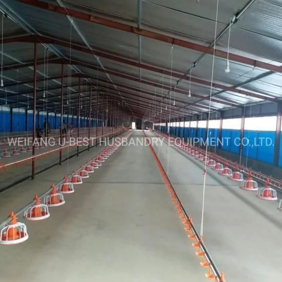 Controlled Broiler Chicken Poultry Farm with CE