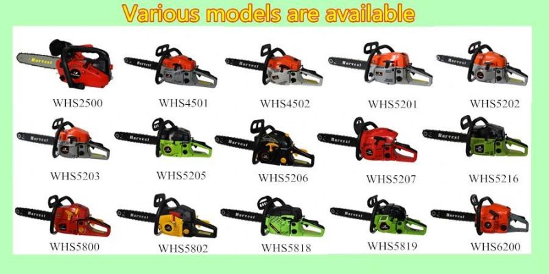 Whs5205 Quality Cutting Tool Gasoline Chain Saw