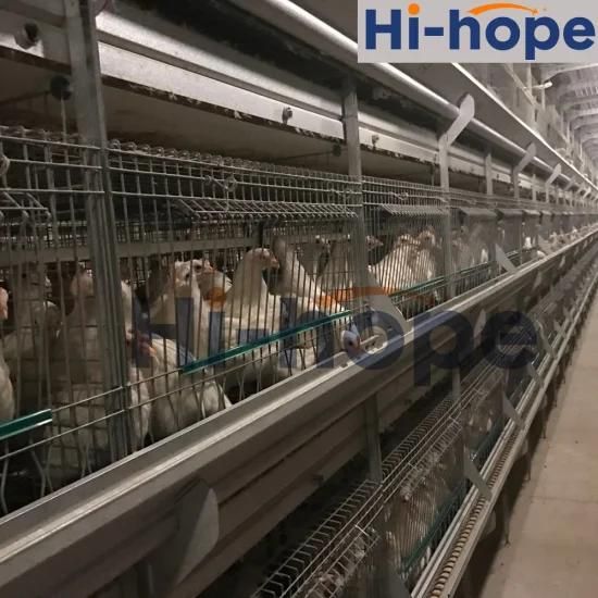 Automatic Modern Designed Poultry Control Barn Shed Equipment