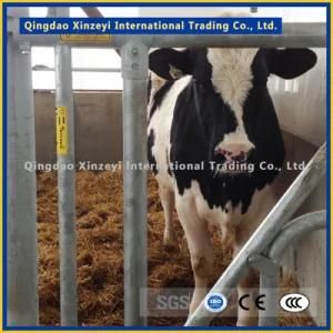 Top Quality Galvanized Cattle Headlock for Sale