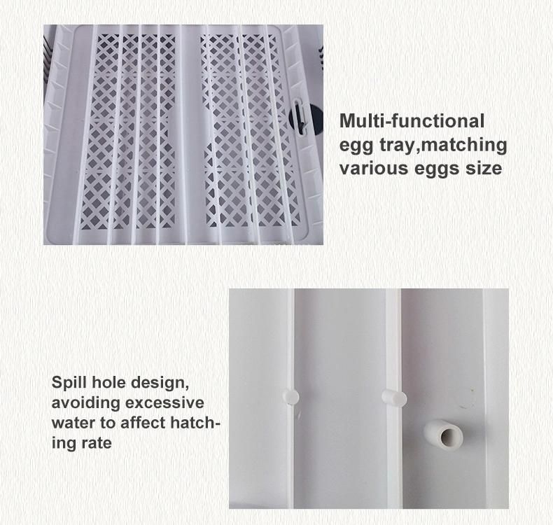 CE Certificate Hhd Durable ABS Material Automatic Mini Chicken Egg Incubator with LED Light Yz-36