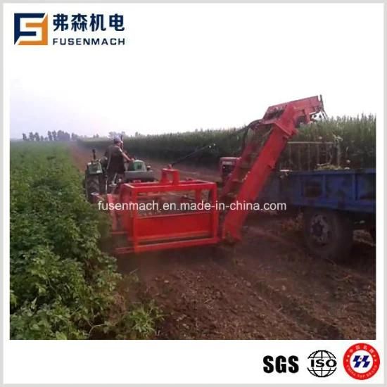 Automatic Combine Potato Harvester for 55-80HP Tractor