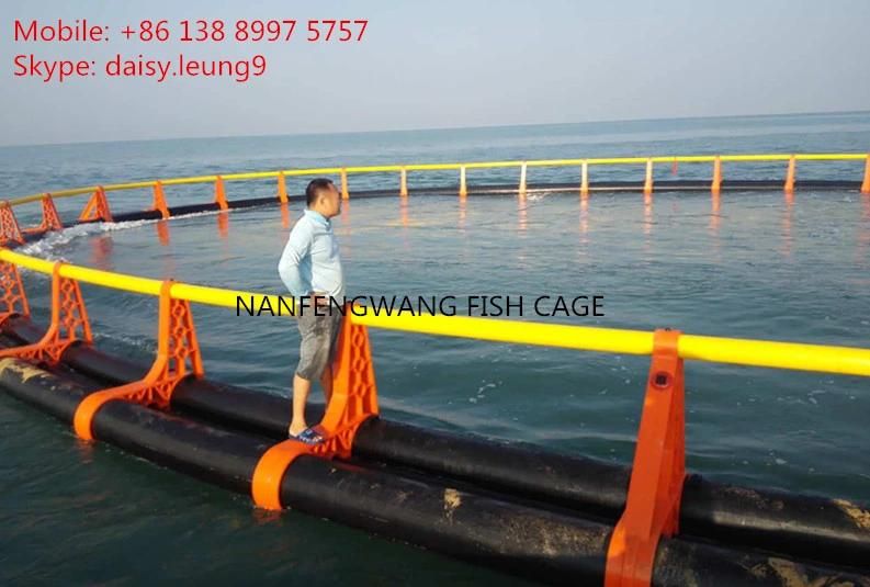 Deep Sea Fish Cage with "Grid" Mooring System Defend Against The Typhoon