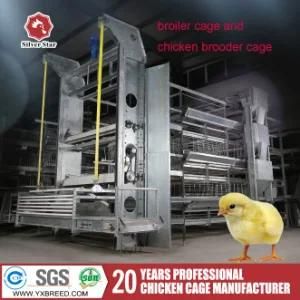 Poultry Shed Cage of Chicken Drinking Feeding System (A-3L90)