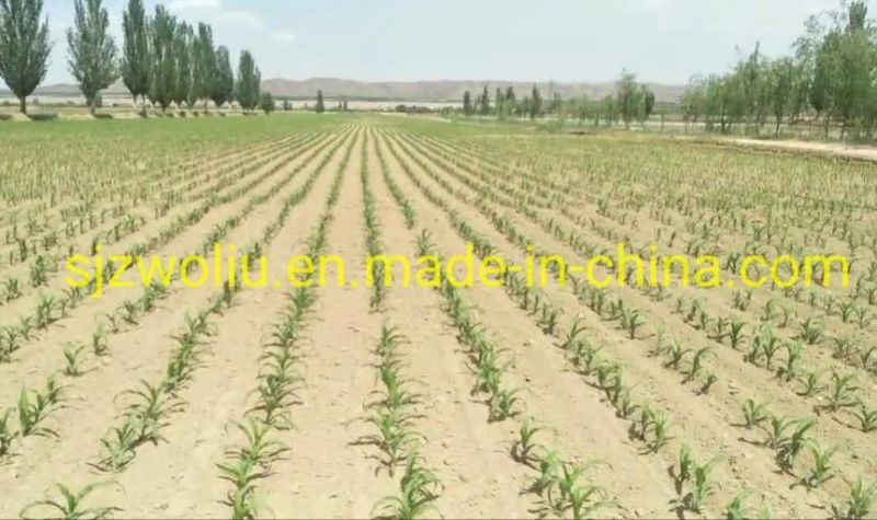 High Efficiency 8 Line Corn, Maize, Groundnut, Air-Suction Precision Planting Machine